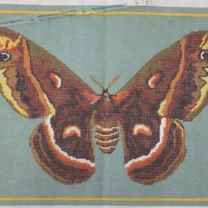 Cleopatra Moth
