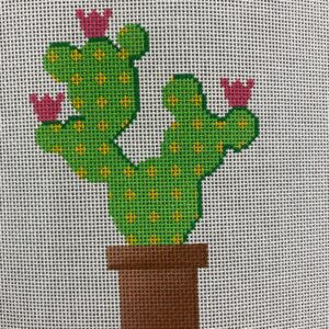 Bunny Eared Cactus